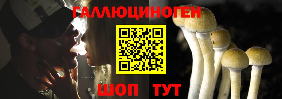 Галлюциногенные грибы GOLDEN TEACHER Нововоронеж